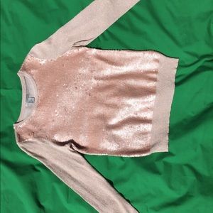 Blush Long Sleeve Sequin Pullover Blouse Top